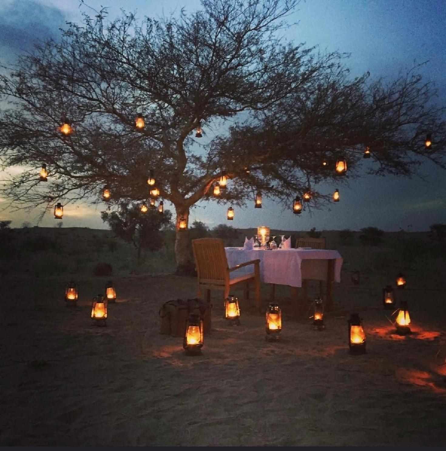 ג'איסלמר Wild Heritage Resort & Camp מראה חיצוני תמונה